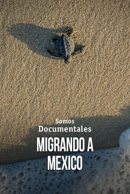 Migrando a Mexico