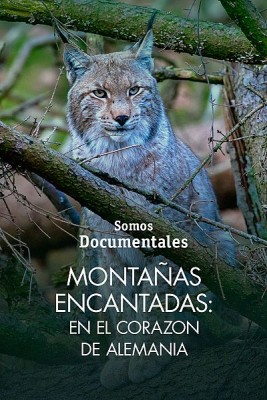 Montañas encantadas: En el corazón de Alemania
