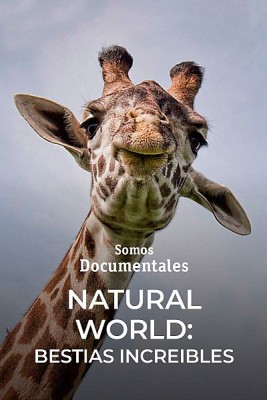Natural world: Bestias increíbles