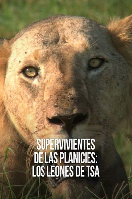 Supervivientes de las planicies: Los leones de Tsavo
