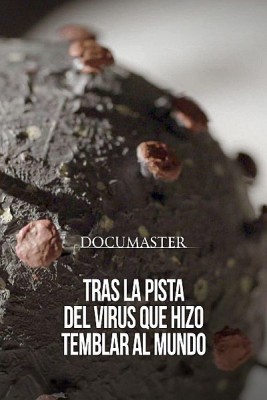 Tras la pista del virus que hizo temblar al mundo