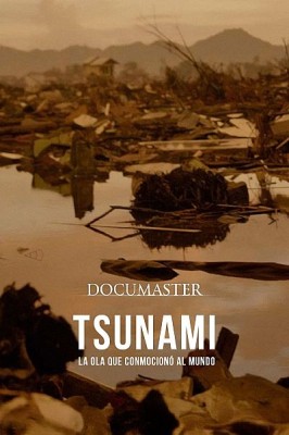 Tsunami, la ola que conmocionó al mundo
