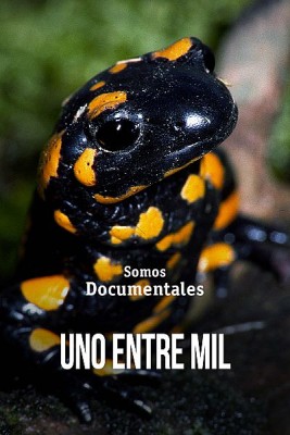 Uno entre mil