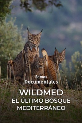 Wildmed. El último bosque mediterráneo