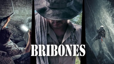 Bribones