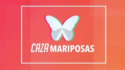 Cazamariposas
