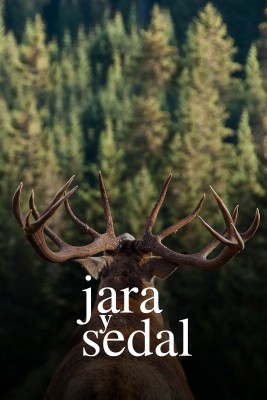 Jara y sedal