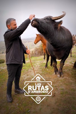 Las Rutas de...