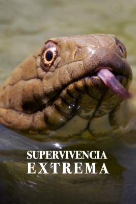 Supervivencia extrema