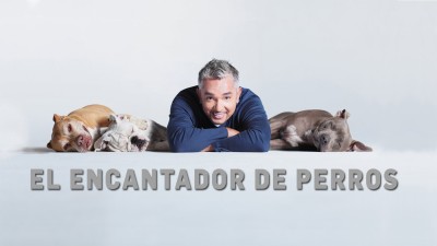 El encantador de perros
