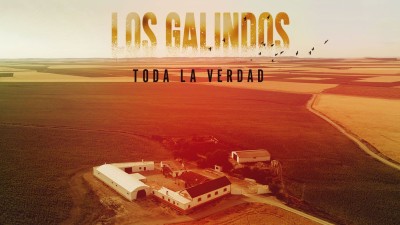 Los Galindos. Toda la verdad