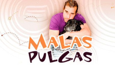 Malas Pulgas